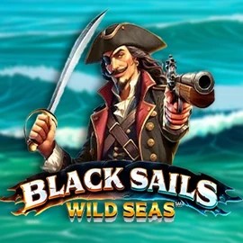 Try Black Sails Wild Seas slot by Infinity Dragon Studios on betninja-casino.eu – logo image