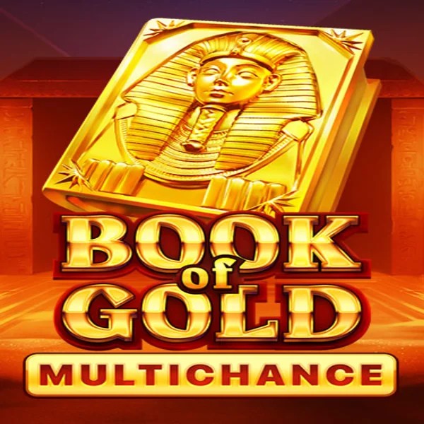 Book of Gold Multichance logo by Playson Betninja Casino