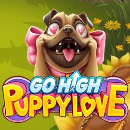 Go High Puppy Love game by RubyPlay – logo hosted on Betninja Casino